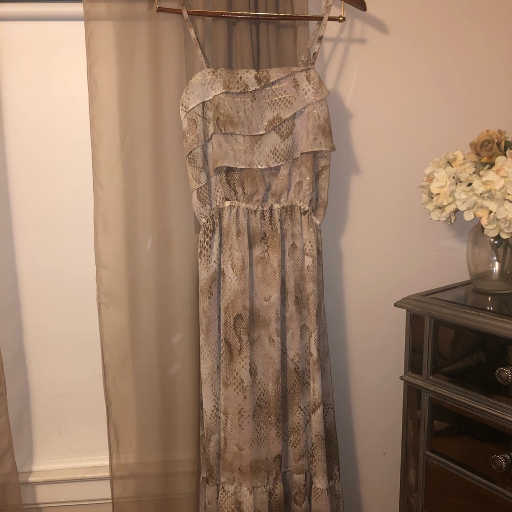Express Maxi Dress